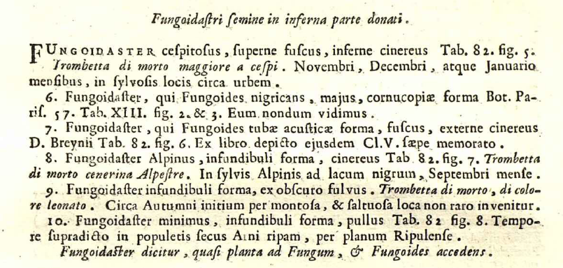 Micheli PA (1729), Nova plantarum genera iuxta Tournefortii methodum disposita